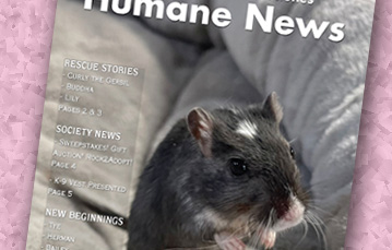 August 2021 Humane News