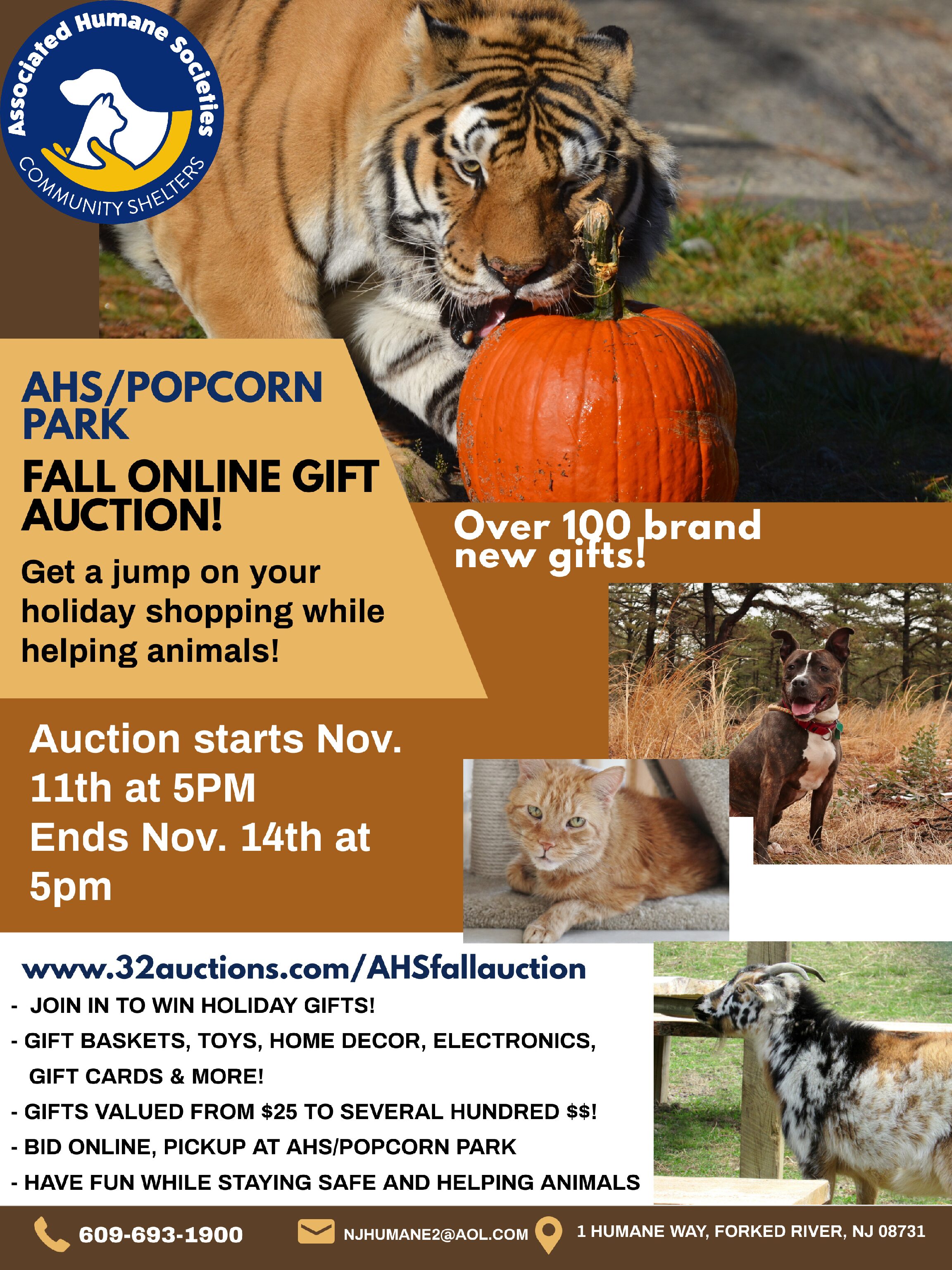 Fall Gift Auction