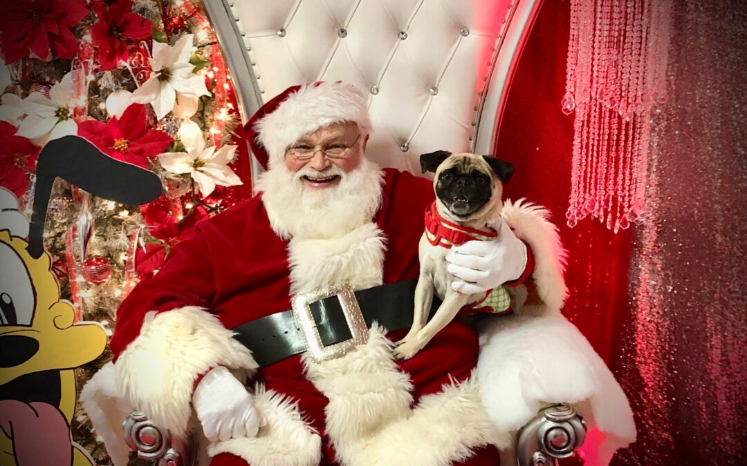 Pictures with Santa Paws!