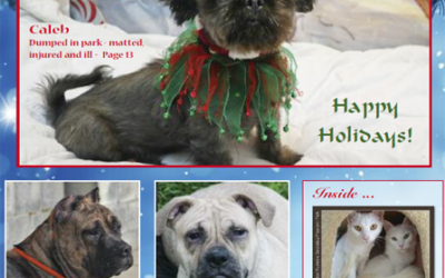 Humane News – Holiday 2020