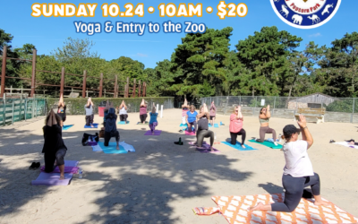 Yoga in the Park – October 24th!