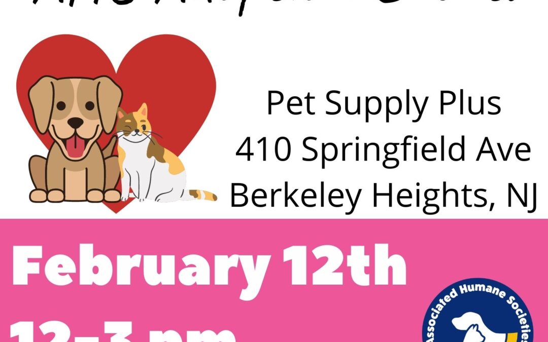 AHS Newark Adoption Event 2/12