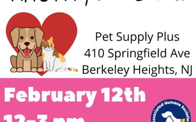 AHS Newark Adoption Event 2/12