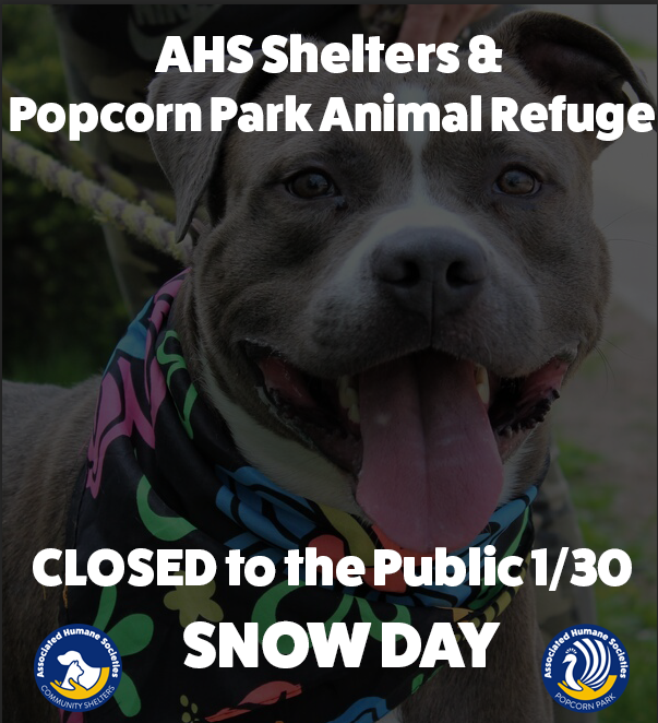 ALL AHS Locations CLOSED 1/30 due to Snow