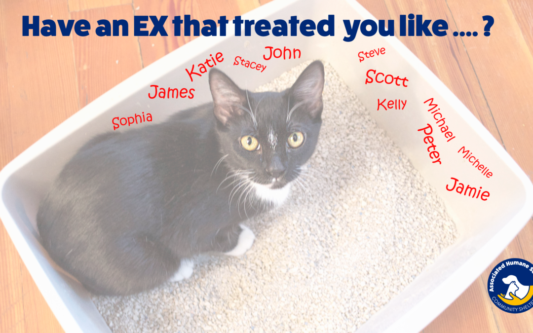 Have an awful ex? Join our Valentine’s Day Fundraiser