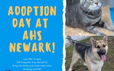 Newark Adoption Day: June 18th!