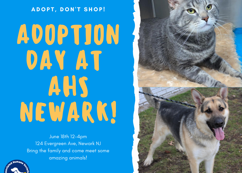 Newark Adoption Day: June 18th!