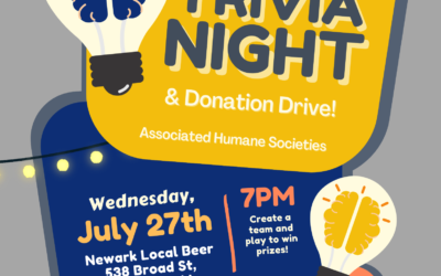 Trivia Night at Newark Local Beer! July 27th