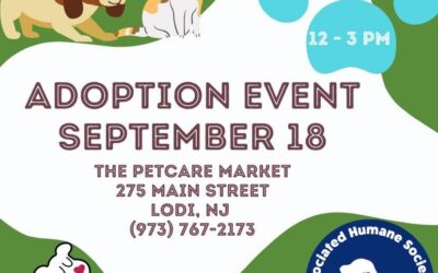 AHS Newark Adoption Event at the Petcare Market!