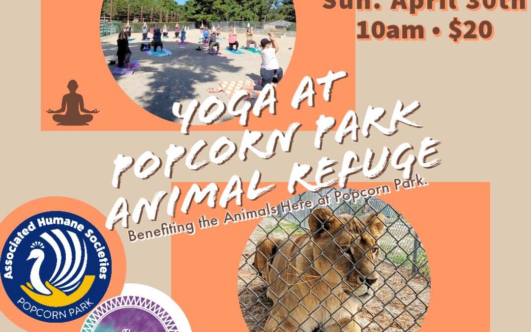 Yoga at Popcorn Park