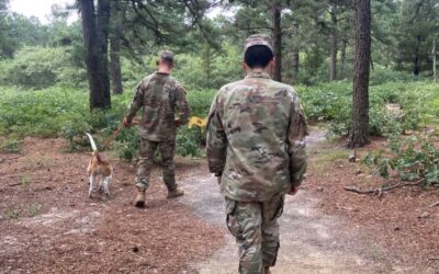 U.S. Army Soldiers Lend a Helping Hand to Walk AHS Dogs