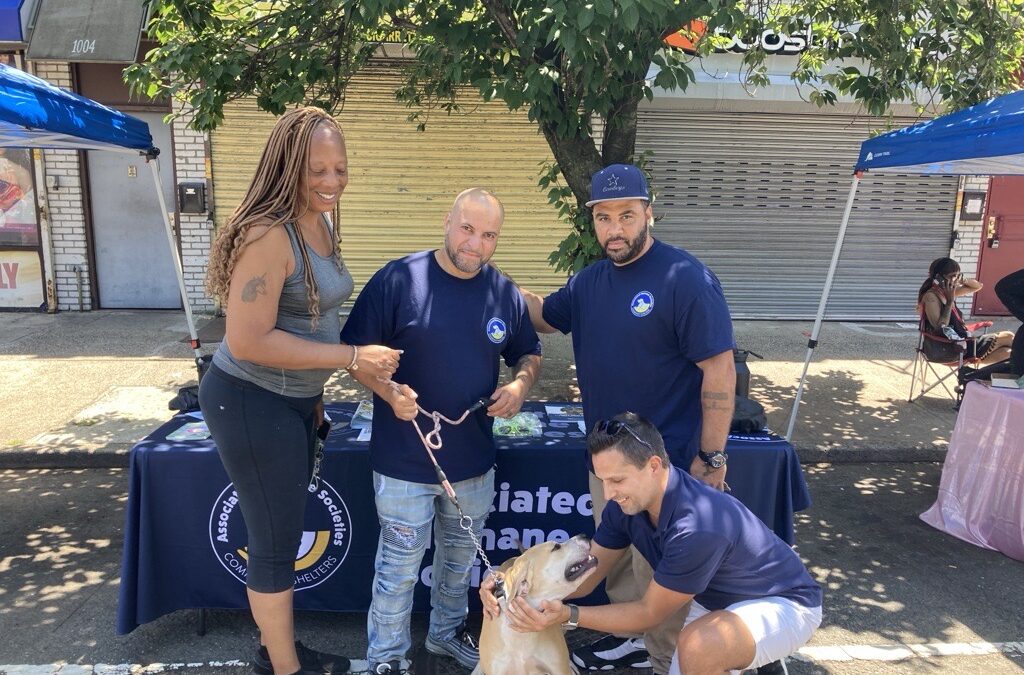 AHS Represents at the Newark Juneteenth Festival